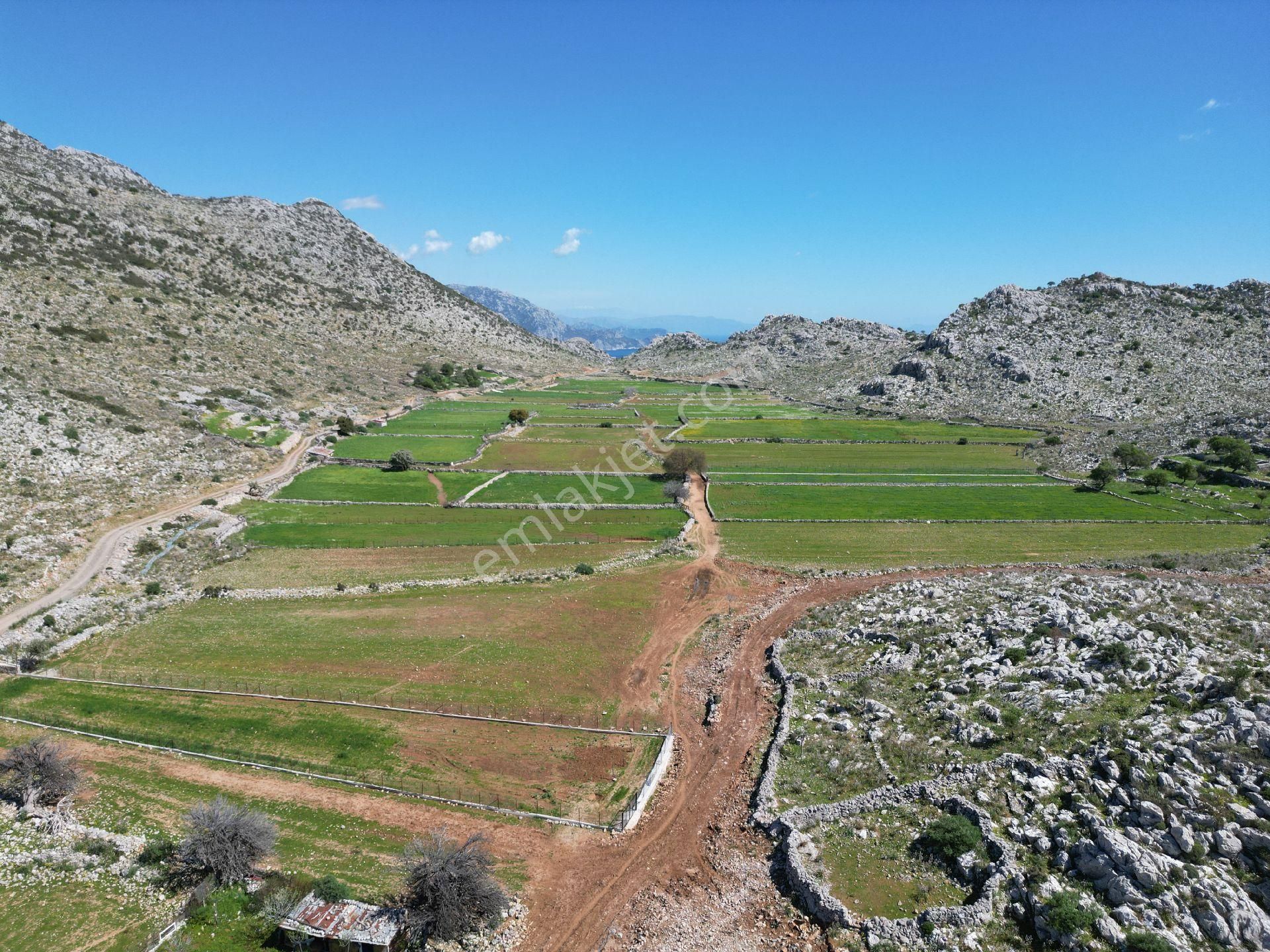 Joker: Marmaris Taşlıca Yol Cephe Tiny House İçin Uygun Tarla - Görsel 8