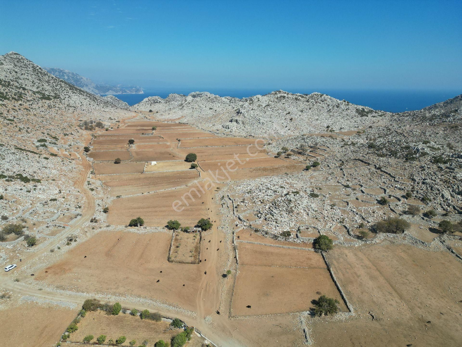 Joker: Marmaris Taşlıca Yol Cephe Tiny House İçin Uygun Tarla - Görsel 6