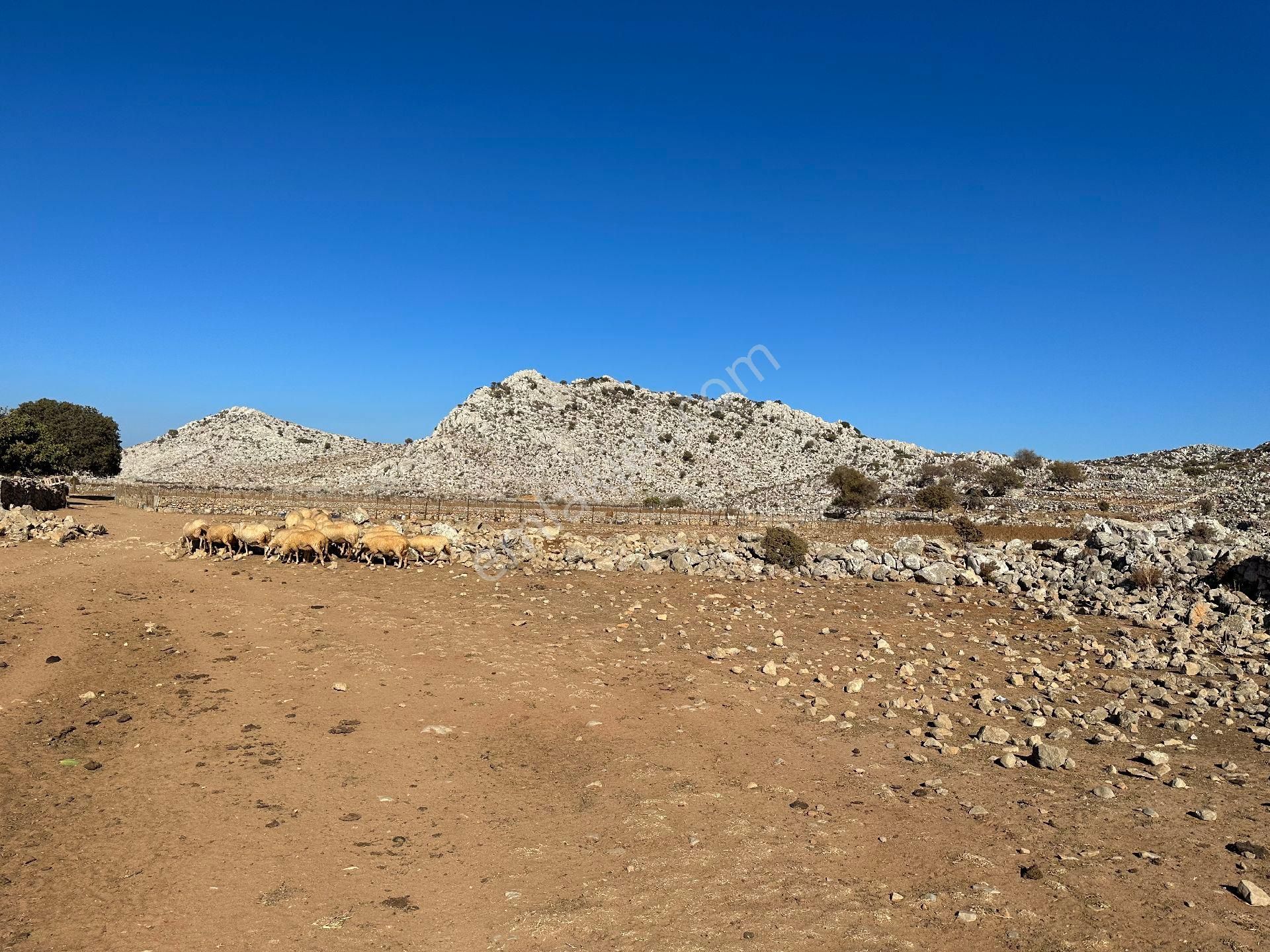 Joker: Marmaris Taşlıca Yol Cephe Tiny House İçin Uygun Tarla - Görsel 3