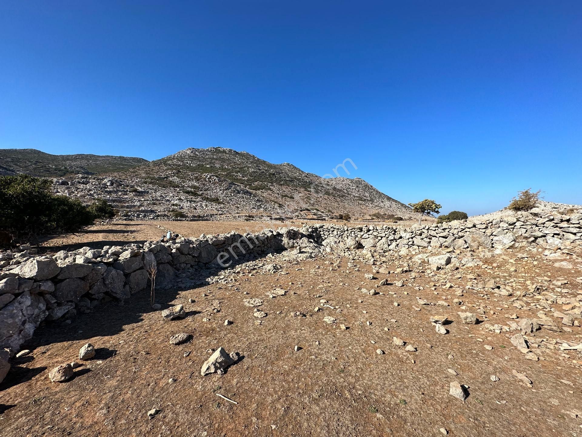 Joker: Marmaris Taşlıca Yol Cephe Tiny House İçin Uygun Tarla - Görsel 4