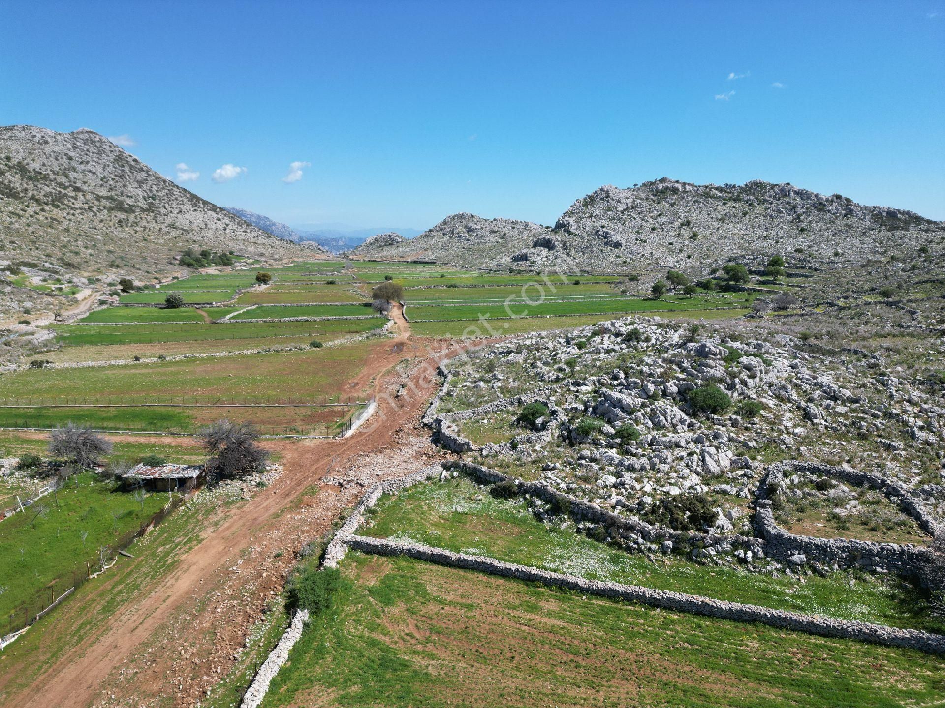 Joker: Marmaris Taşlıca Yol Cephe Tiny House İçin Uygun Tarla