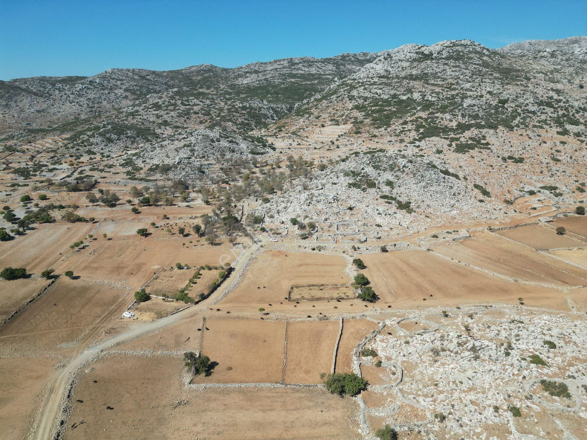 Joker: Marmaris Taşlıca Yol Cephe Tiny House İçin Uygun Tarla - Görsel 2