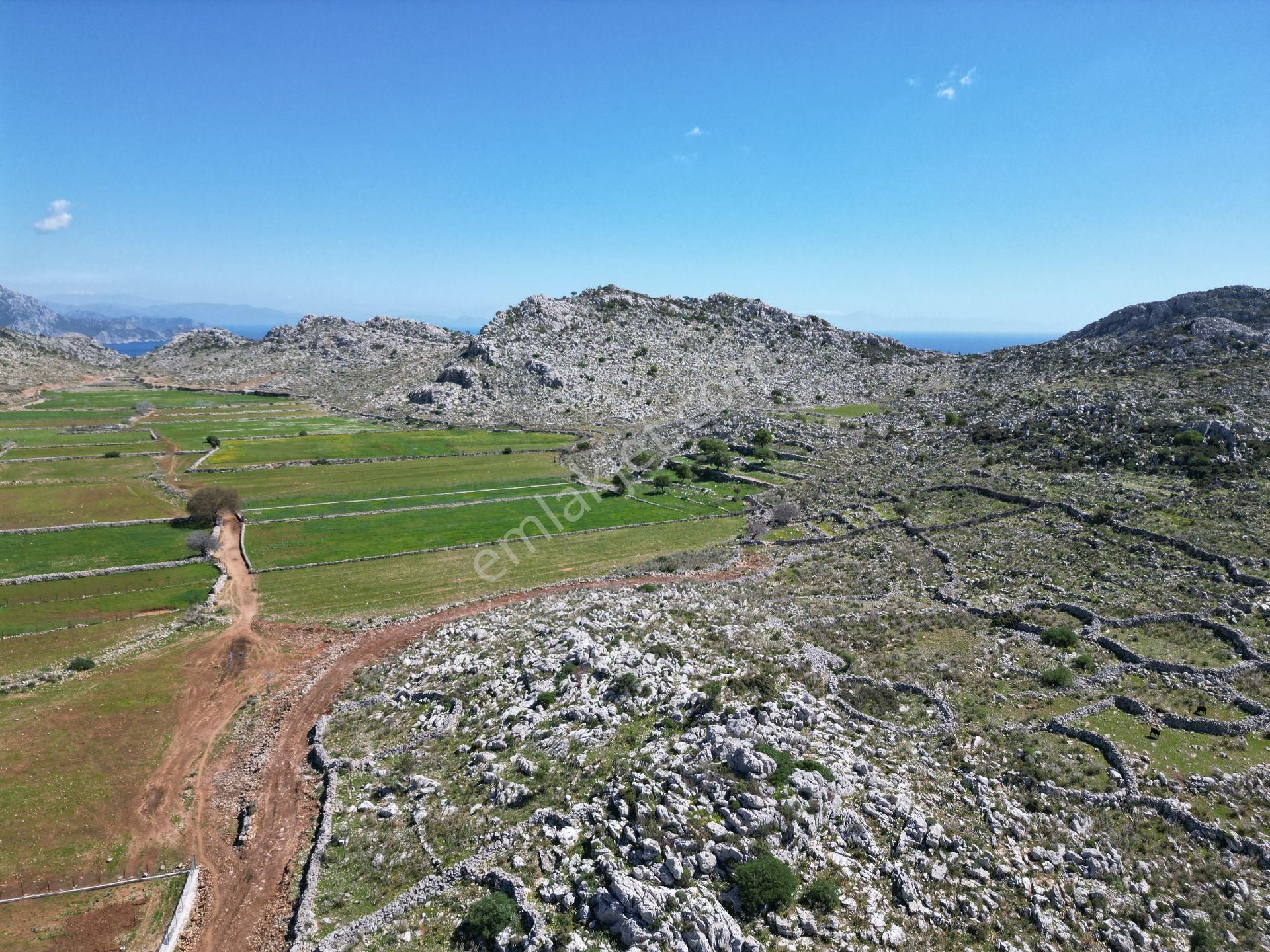 Joker: Marmaris Taşlıca Yol Cephe Tiny House İçin Uygun Tarla - Görsel 7