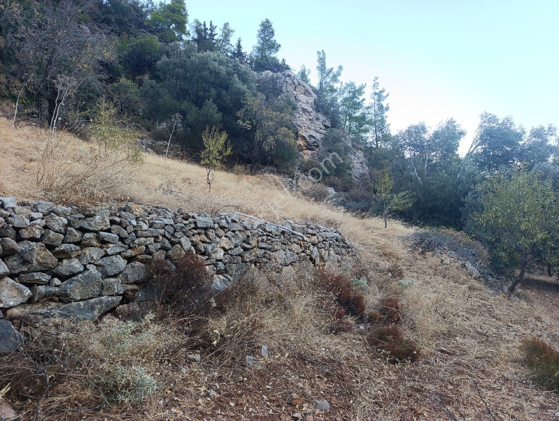 Datça Satılık Yolu Olan Manzaralı Arazi - Görsel 14