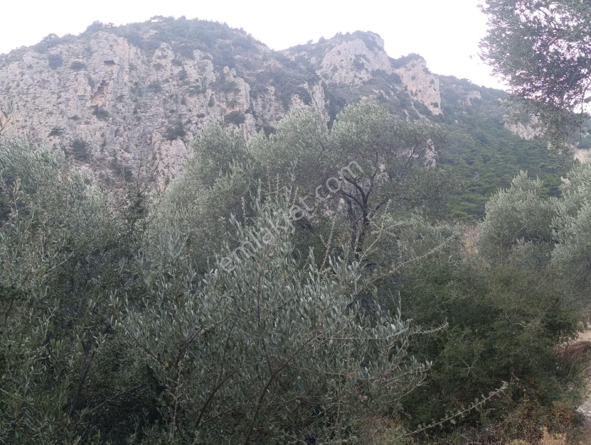 Datça Satılık Yolu Olan Manzaralı Arazi - Görsel 28