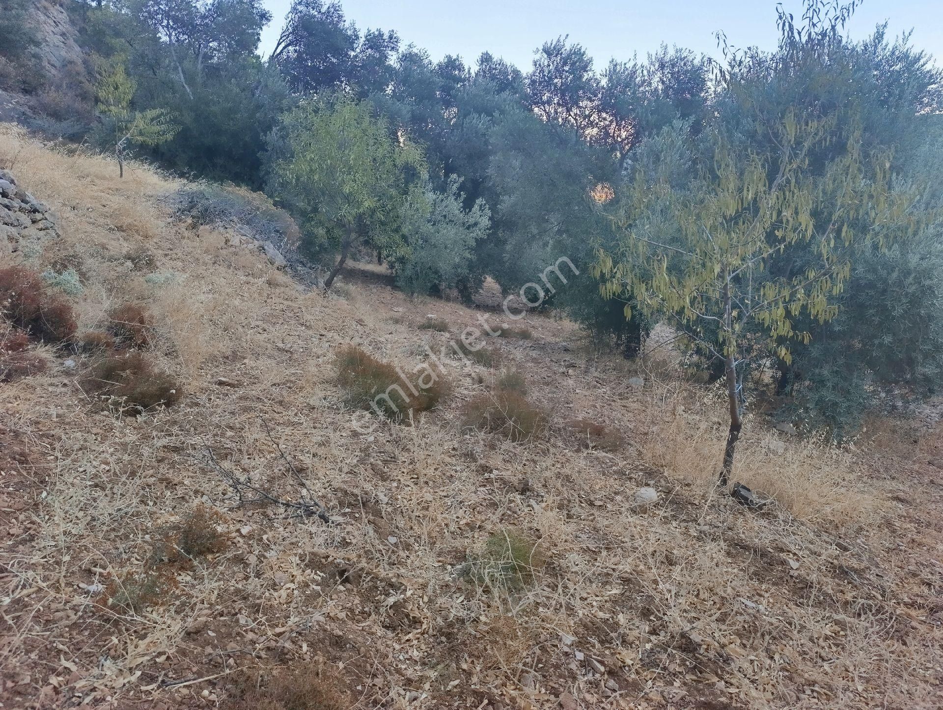Datça Satılık Yolu Olan Manzaralı Arazi - Görsel 15