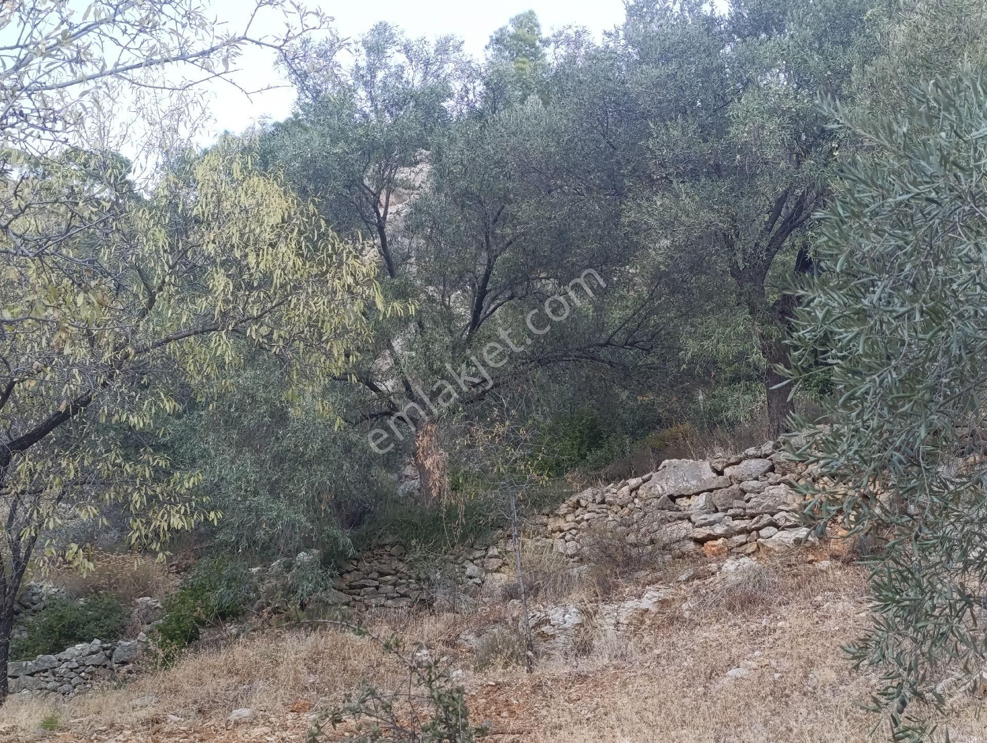 Datça Satılık Yolu Olan Manzaralı Arazi - Görsel 34