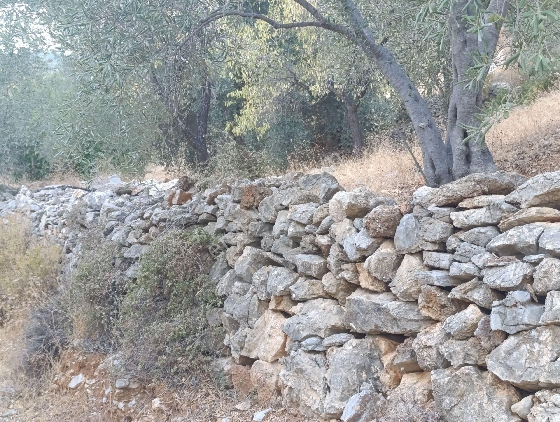 Datça Satılık Yolu Olan Manzaralı Arazi - Görsel 35