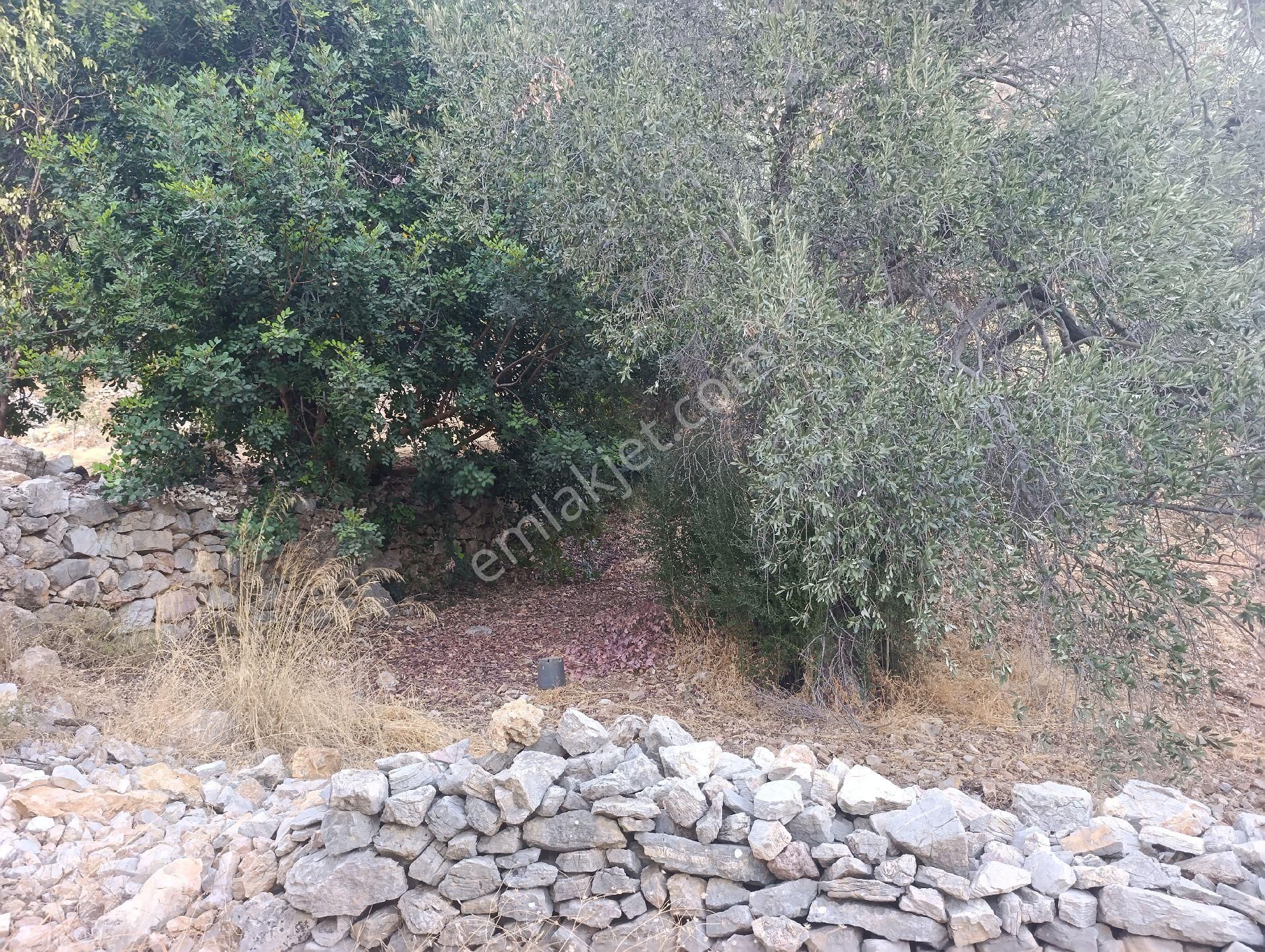 Datça Satılık Yolu Olan Manzaralı Arazi - Görsel 17