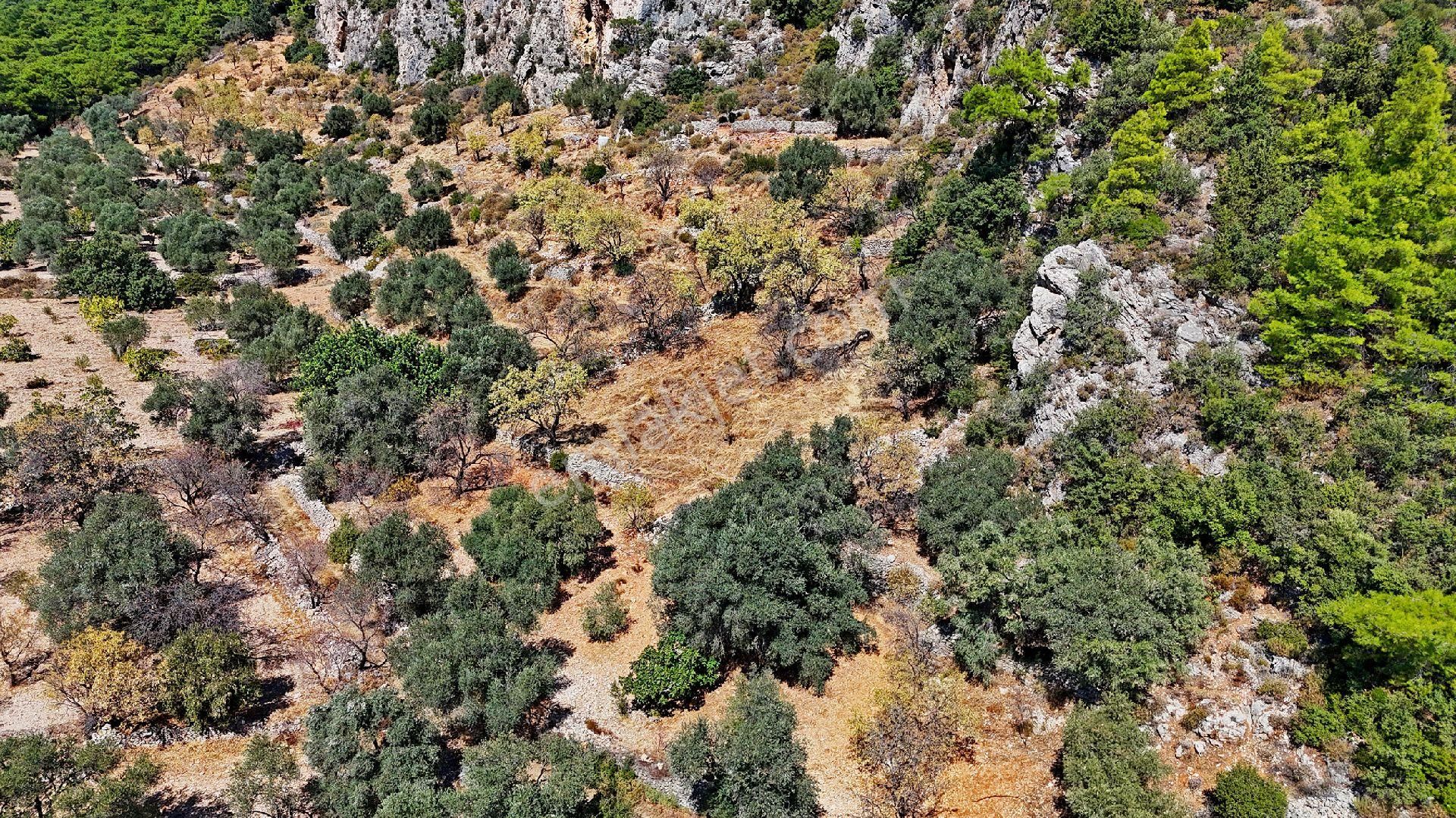 Datça Satılık Yolu Olan Manzaralı Arazi - Görsel 8