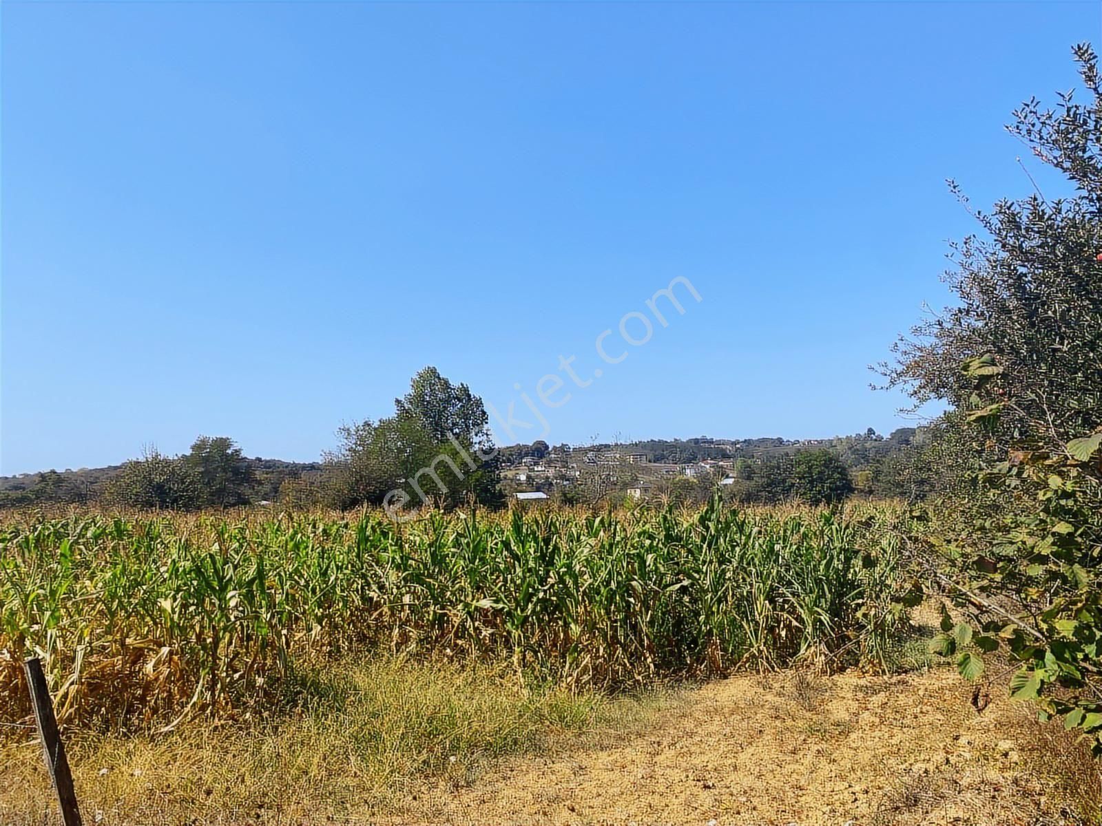 C21 Mehmet Çakar'dan Yatırımlık Arazi - Görsel 4