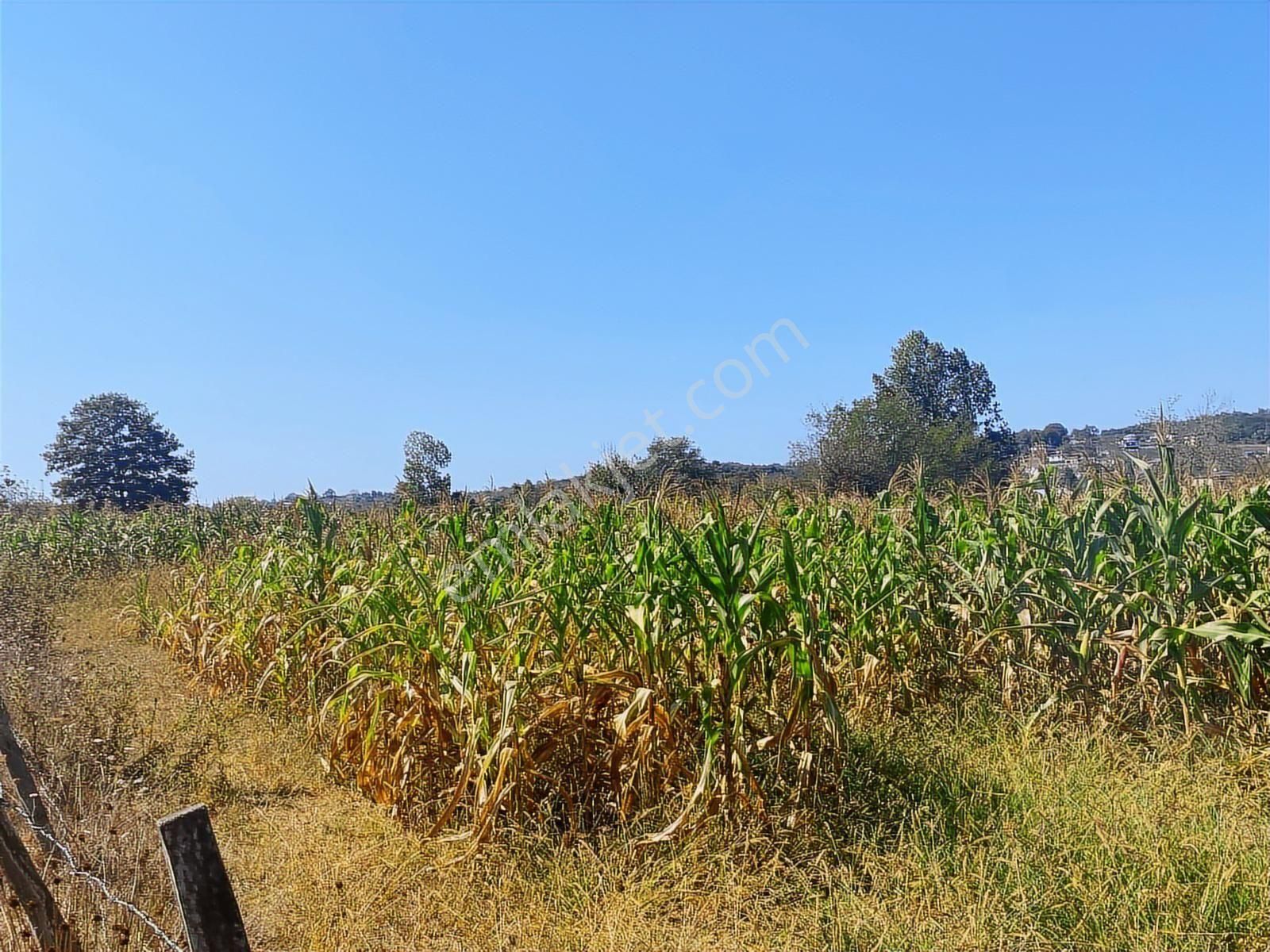 C21 Mehmet Çakar'dan Yatırımlık Arazi - Görsel 7