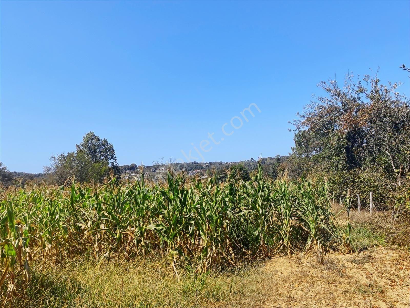 C21 Mehmet Çakar'dan Yatırımlık Arazi - Görsel 15