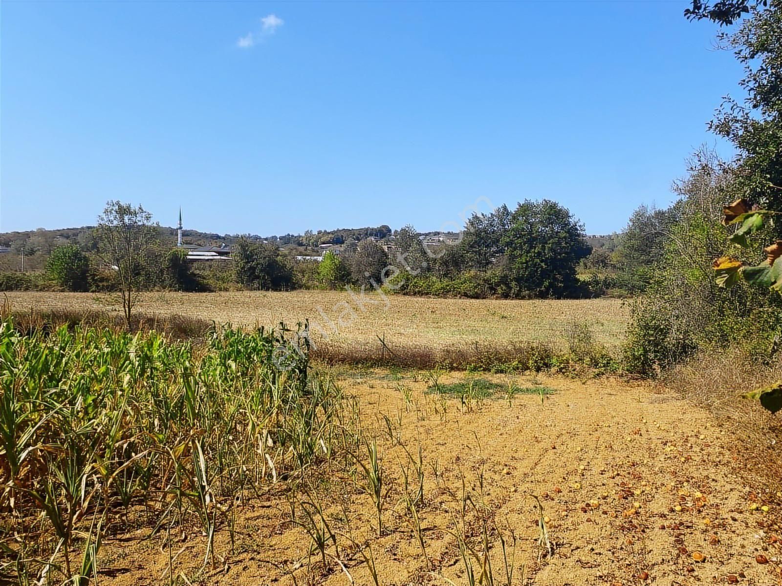 C21 Mehmet Çakar'dan Yatırımlık Arazi - Görsel 13