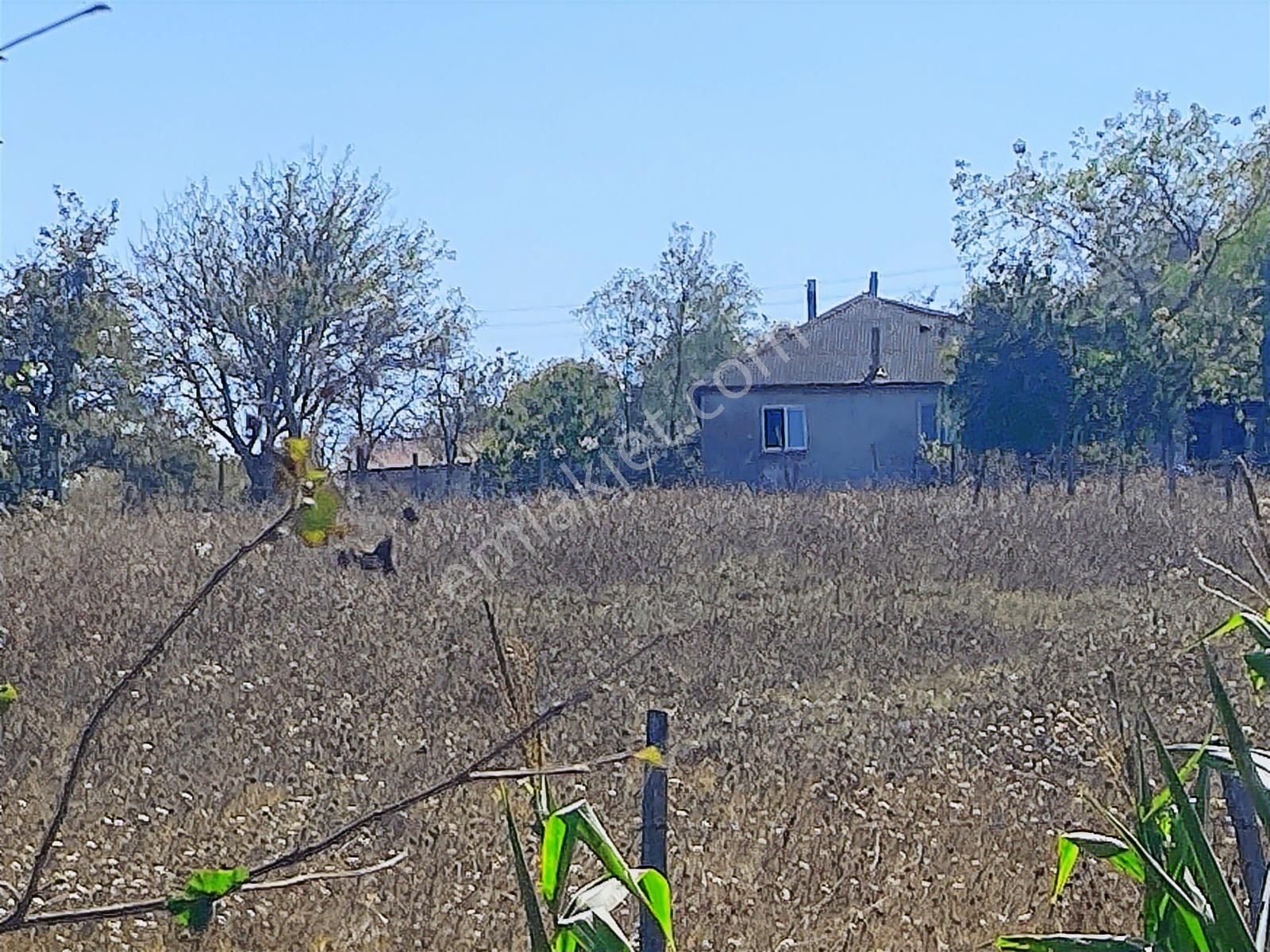 C21 Mehmet Çakar'dan Yatırımlık Arazi - Görsel 5