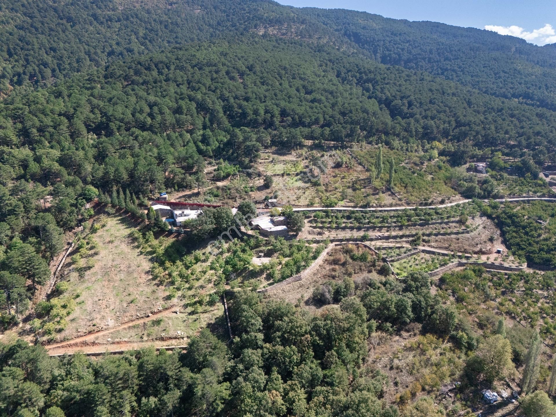 Ege’nin Kalbinde Doğa İle Sanatın Buluştuğu Satılık Özel Çiftlik - Görsel 3