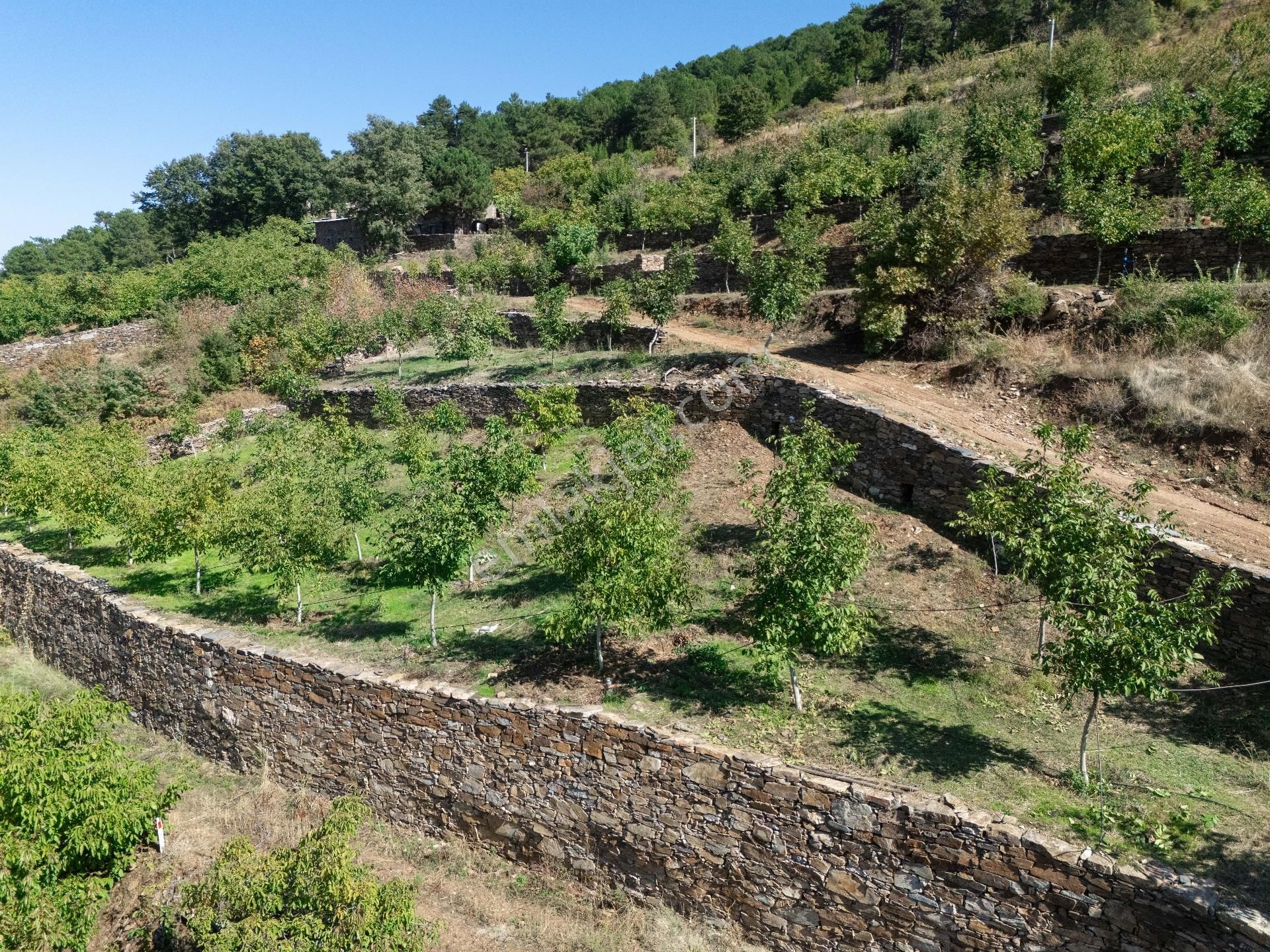 Ege’nin Kalbinde Doğa İle Sanatın Buluştuğu Satılık Özel Çiftlik - Görsel 12
