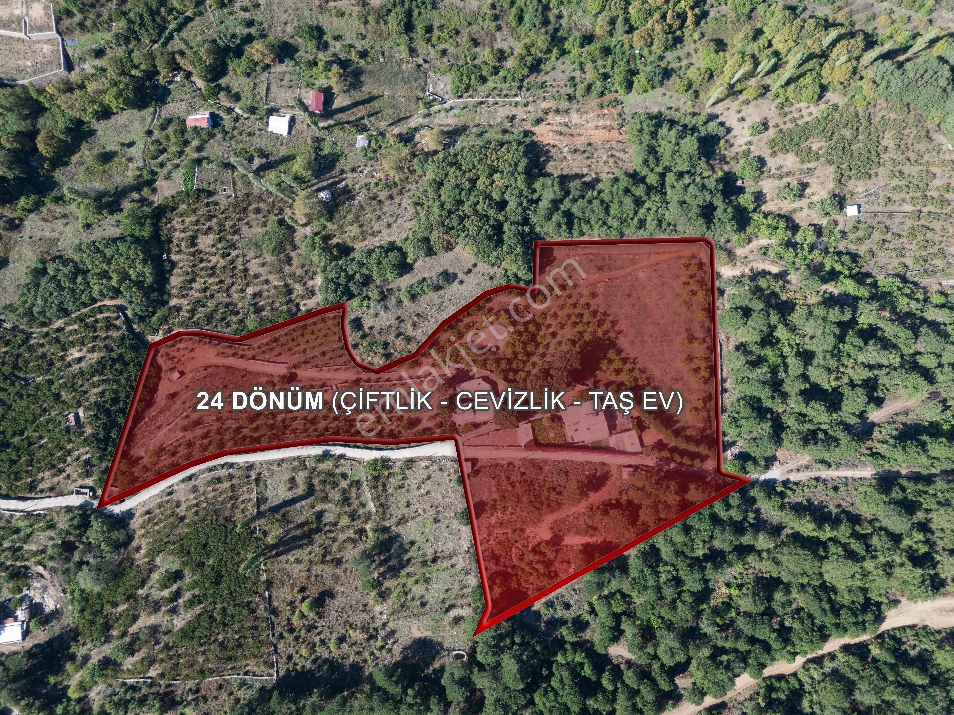 Ege’nin Kalbinde Doğa İle Sanatın Buluştuğu Satılık Özel Çiftlik - Görsel 4