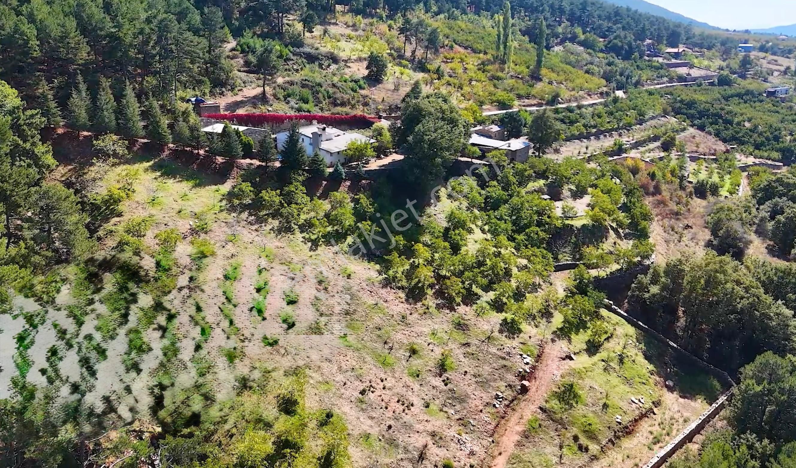 Ege’nin Kalbinde Doğa İle Sanatın Buluştuğu Satılık Özel Çiftlik