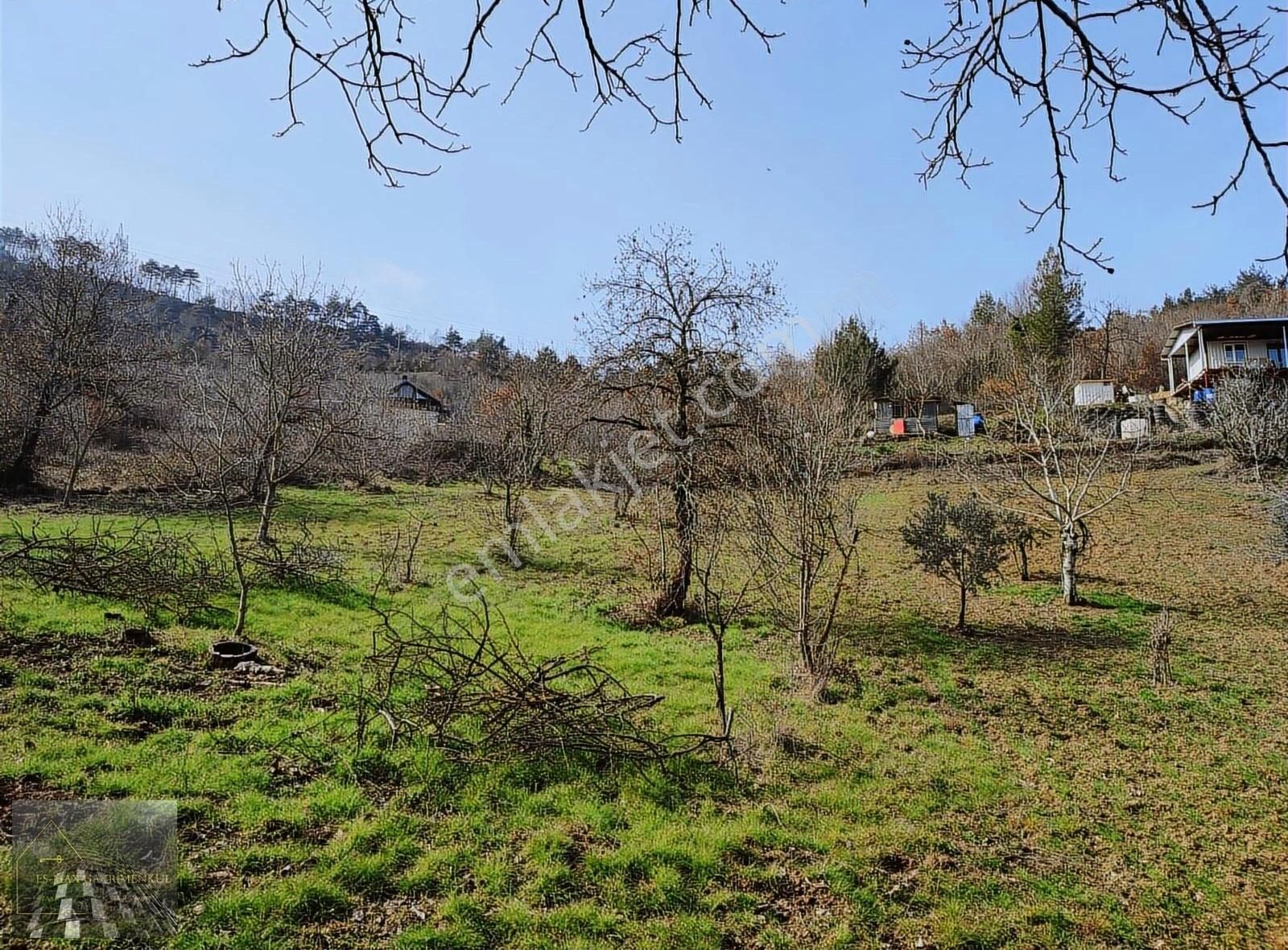 Osmangazi Doğancı Köyünde Satılık Arazi - Görsel 10