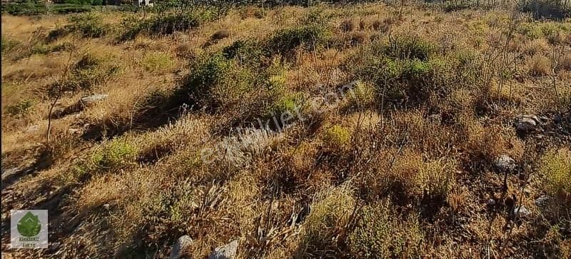 Datça Cumalı Mahallesinde Gelecek Vaat Eden Yatırımlık Arazi... - Görsel 6