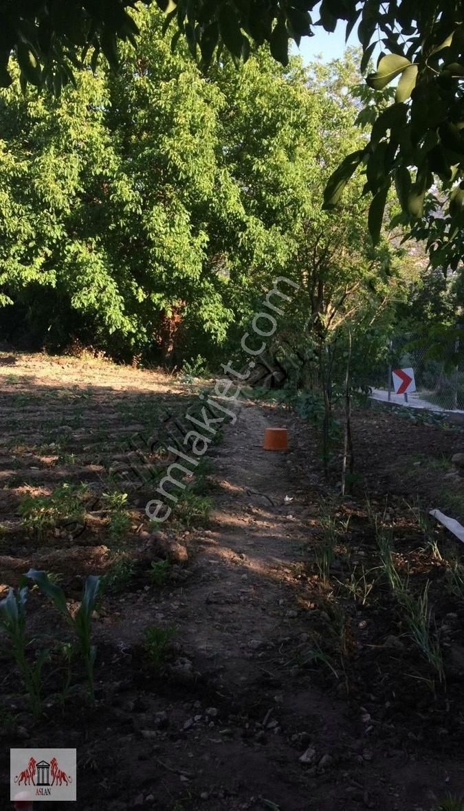 Muğla Menteşe Göktepe De 2150 M² Bahçe - Görsel 6