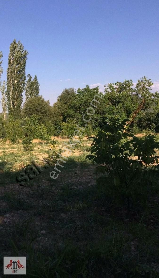 Muğla Menteşe Göktepe De 2150 M² Bahçe - Görsel 2