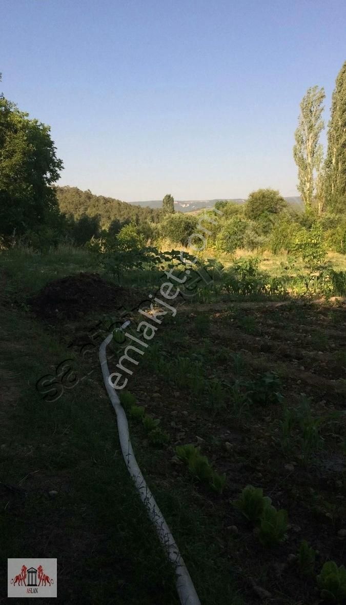 Muğla Menteşe Göktepe De 2150 M² Bahçe - Görsel 4