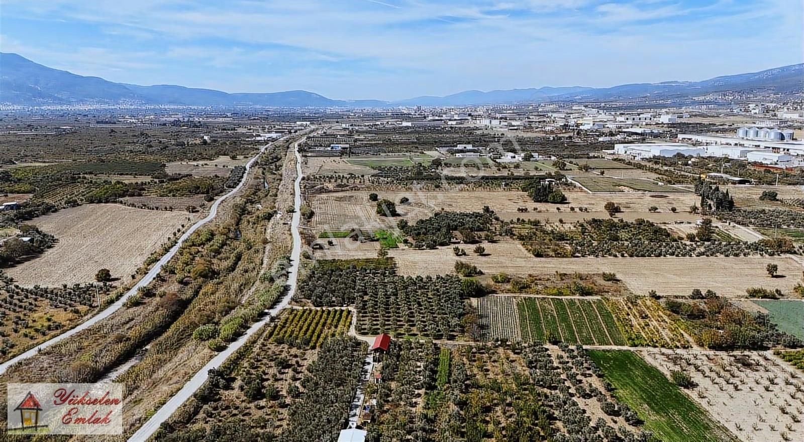 Kemalpaşa Çambel'de 4.542m2 Satılık Zeytin Bahçesi - Görsel 4