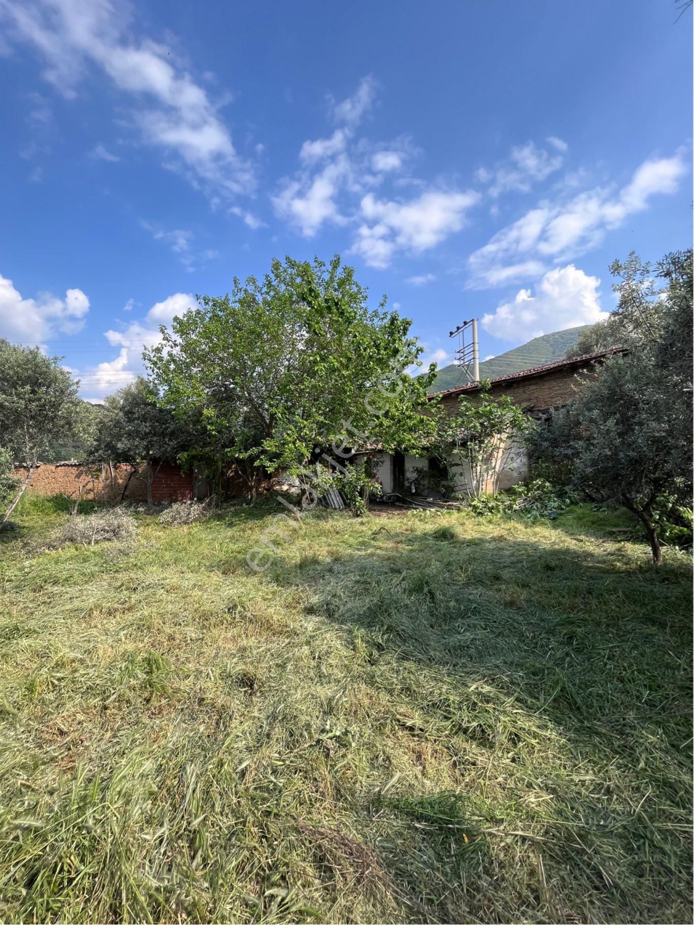 Ovakent'te Taş Ev, Zeytin Ağaçlı, Yola Cepheli 2 Kat İmarlı Arsa - Görsel 8