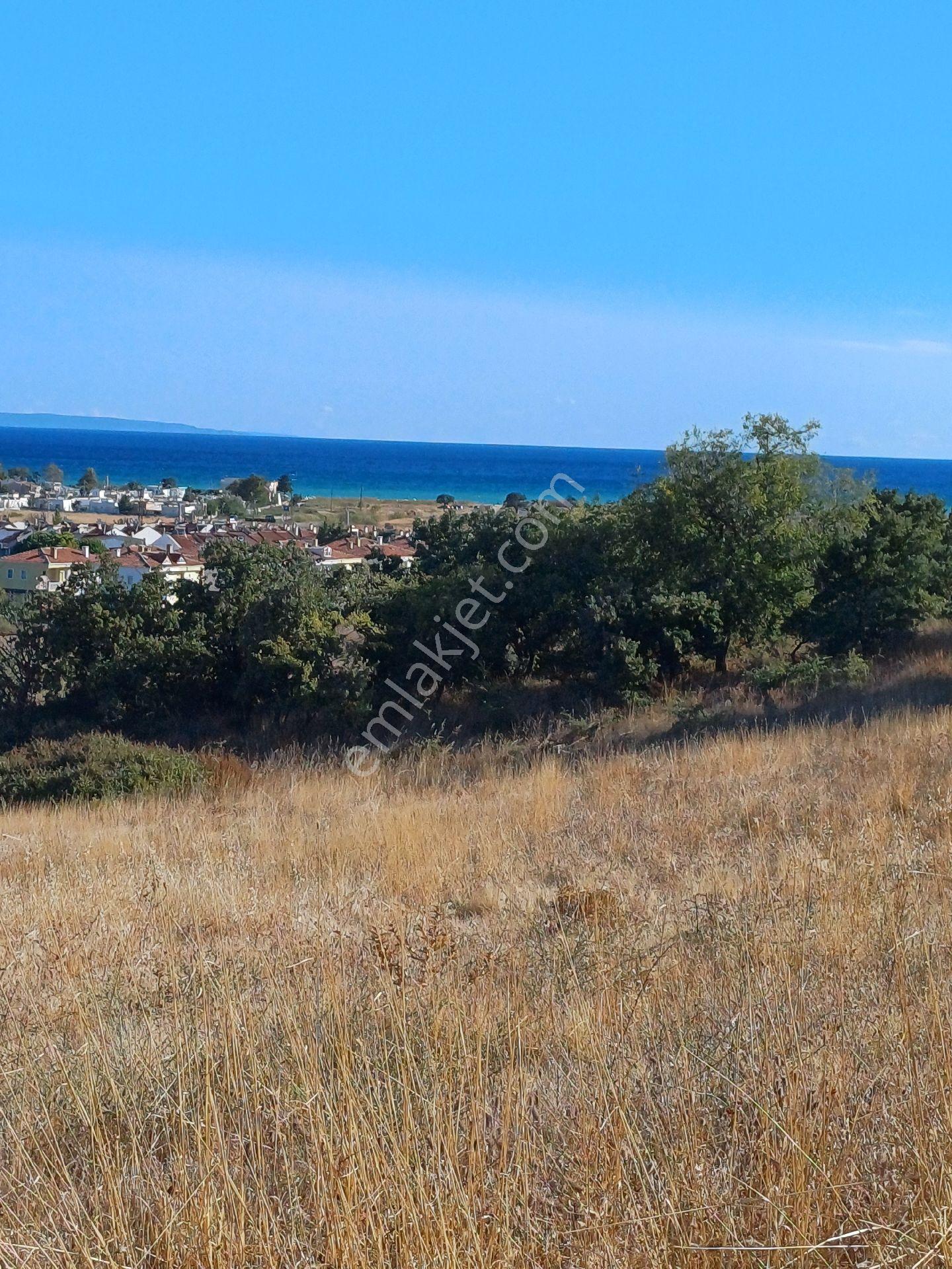 Edirne Bosnaköyde Köy İçinde Satılık Bahçe