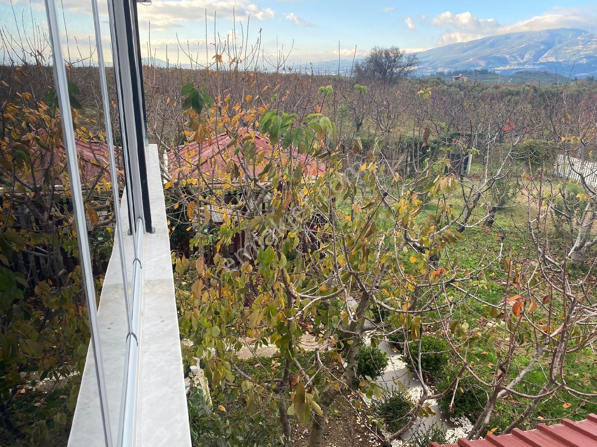 Sahibınden Kemalpaşa Örende - Görsel 6