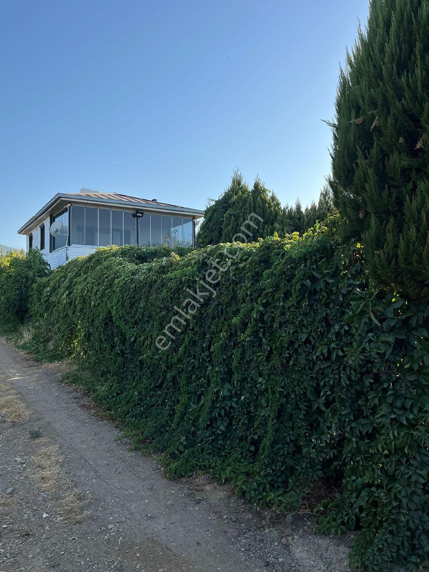 Sahibınden Kemalpaşa Örende - Görsel 14