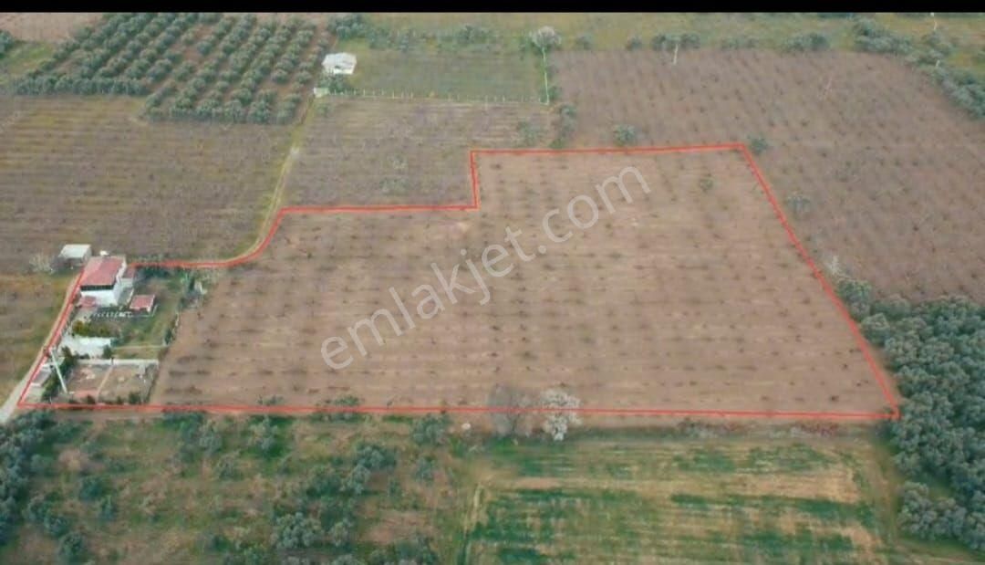 Sahibınden Kemalpaşa Örende - Görsel 7