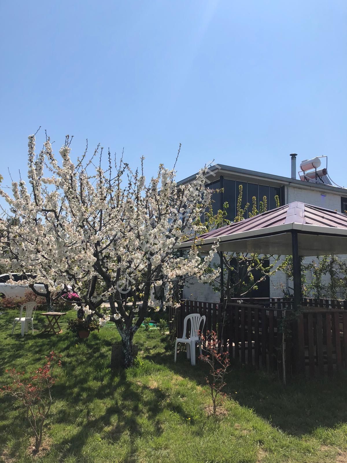 Sahibınden Kemalpaşa Örende - Görsel 3