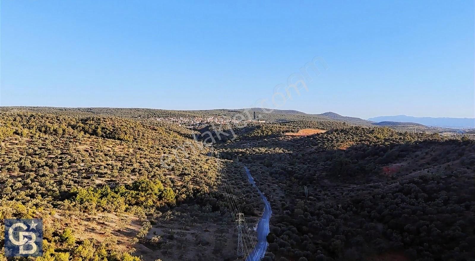 Bergama Zeytindağ Yolu Üzerinde Zeytinlik Yatırımlık Fırsat - Görsel 5