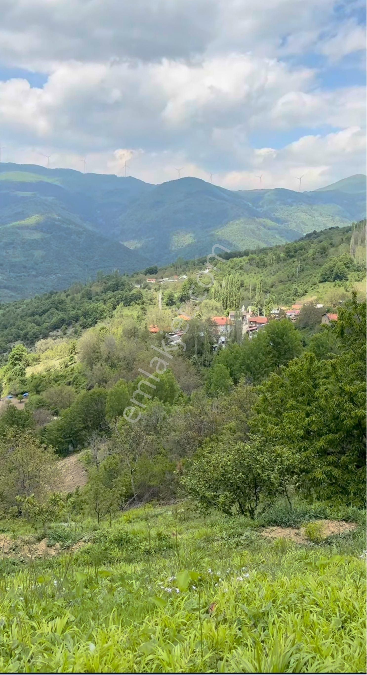 Sakarya Geyve Koru Mahallesi - Görsel 3