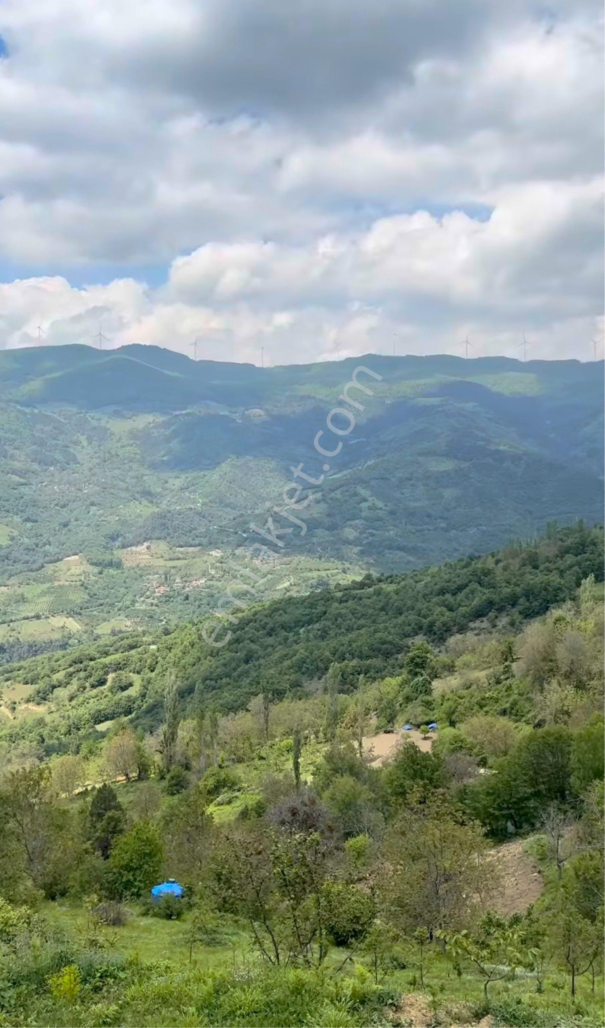 Sakarya Geyve Koru Mahallesi - Görsel 4