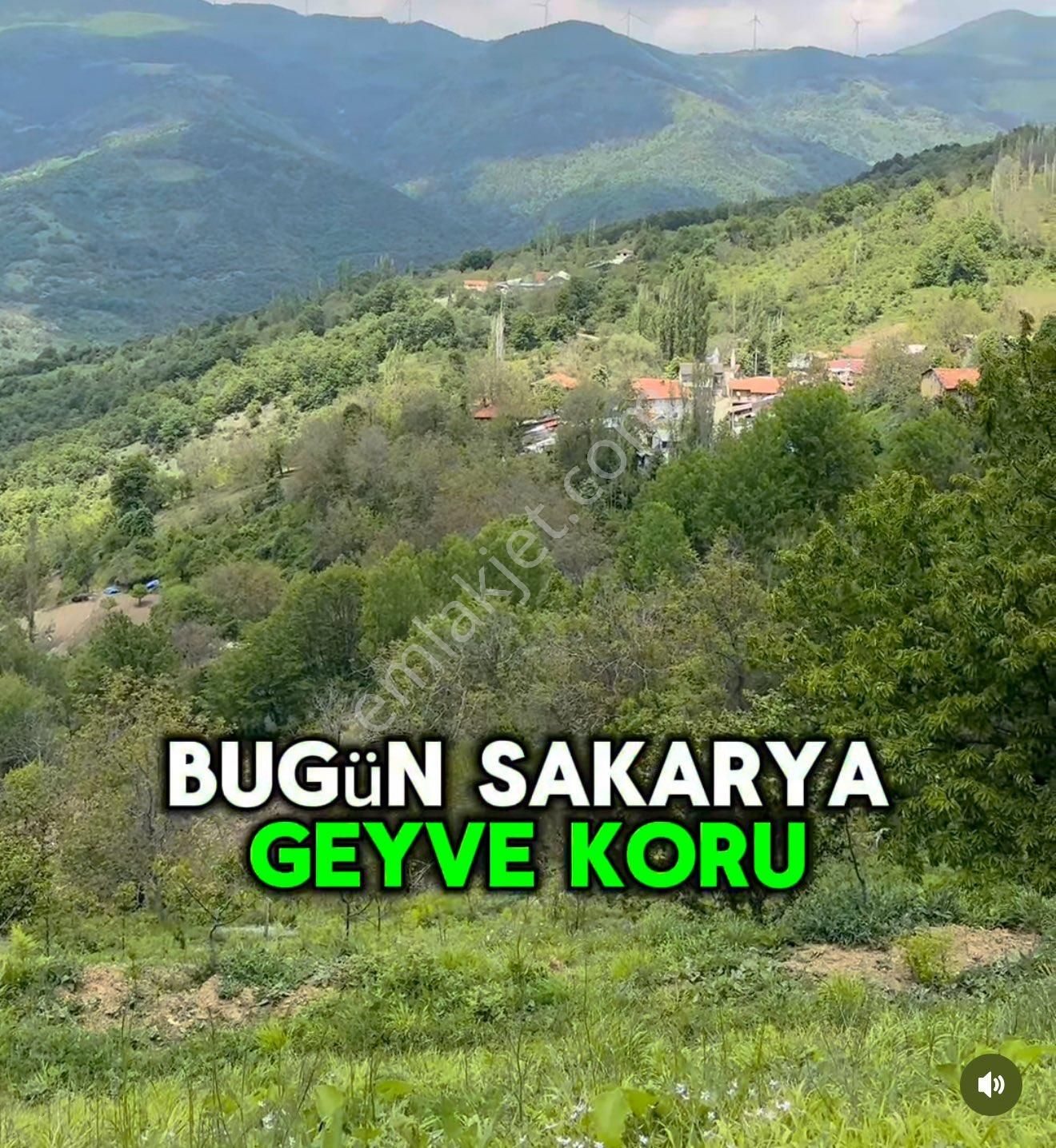 Sakarya Geyve Koru Mahallesi - Görsel 2