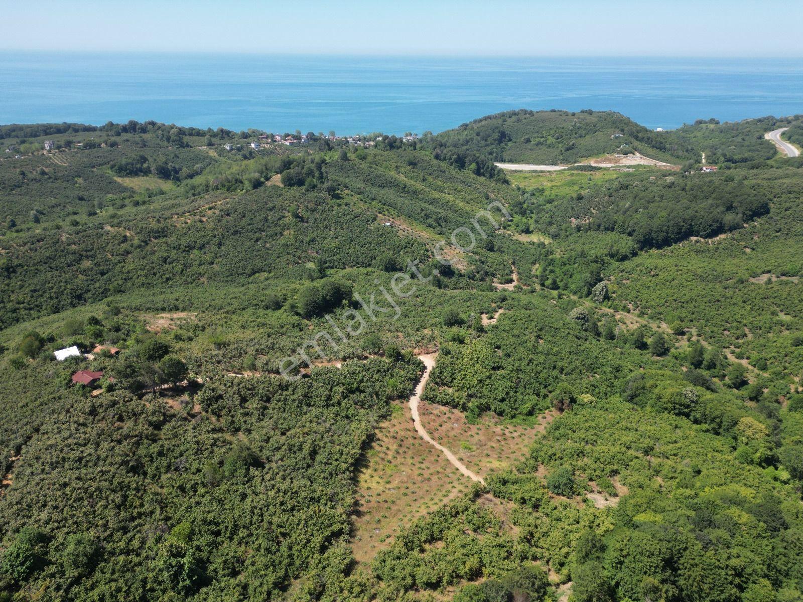 Akçakoca Hasançavuş'da Deniz Manzaralı İmarlı Satılık Arsa - Görsel 8