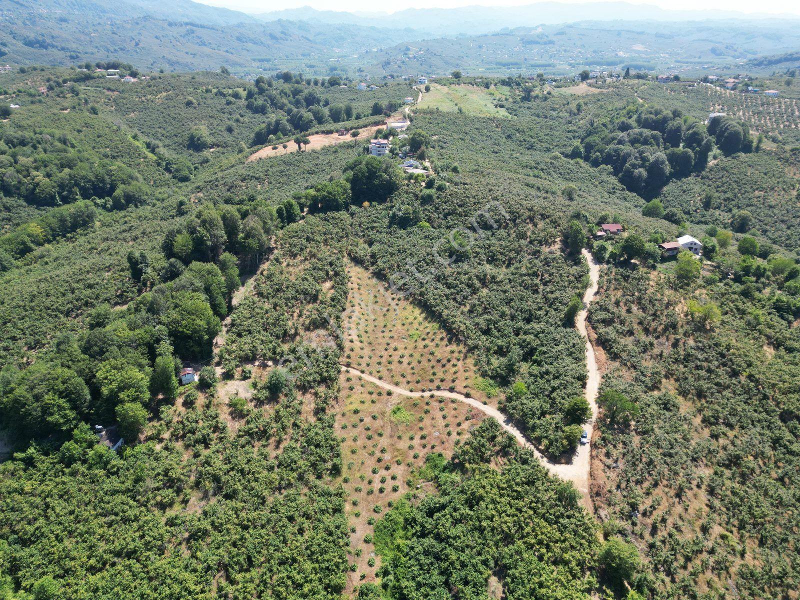 Akçakoca Hasançavuş'da Deniz Manzaralı İmarlı Satılık Arsa - Görsel 18