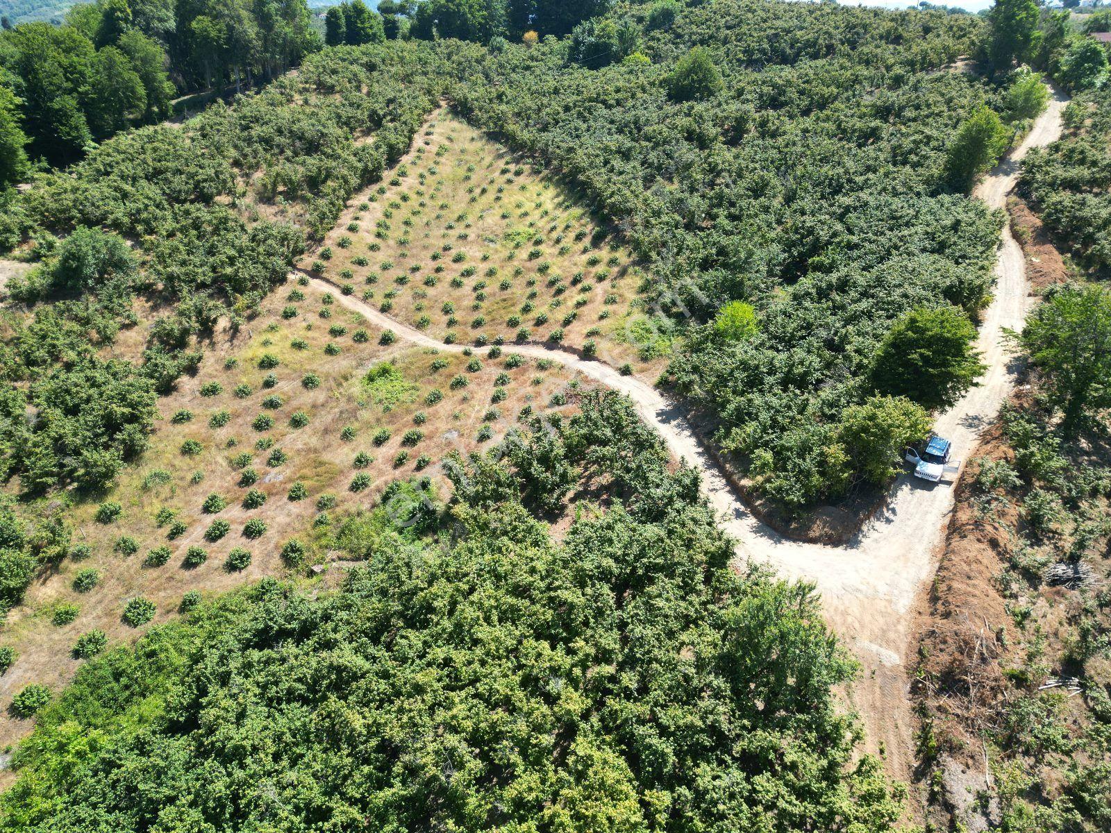 Akçakoca Hasançavuş'da Deniz Manzaralı İmarlı Satılık Arsa - Görsel 24