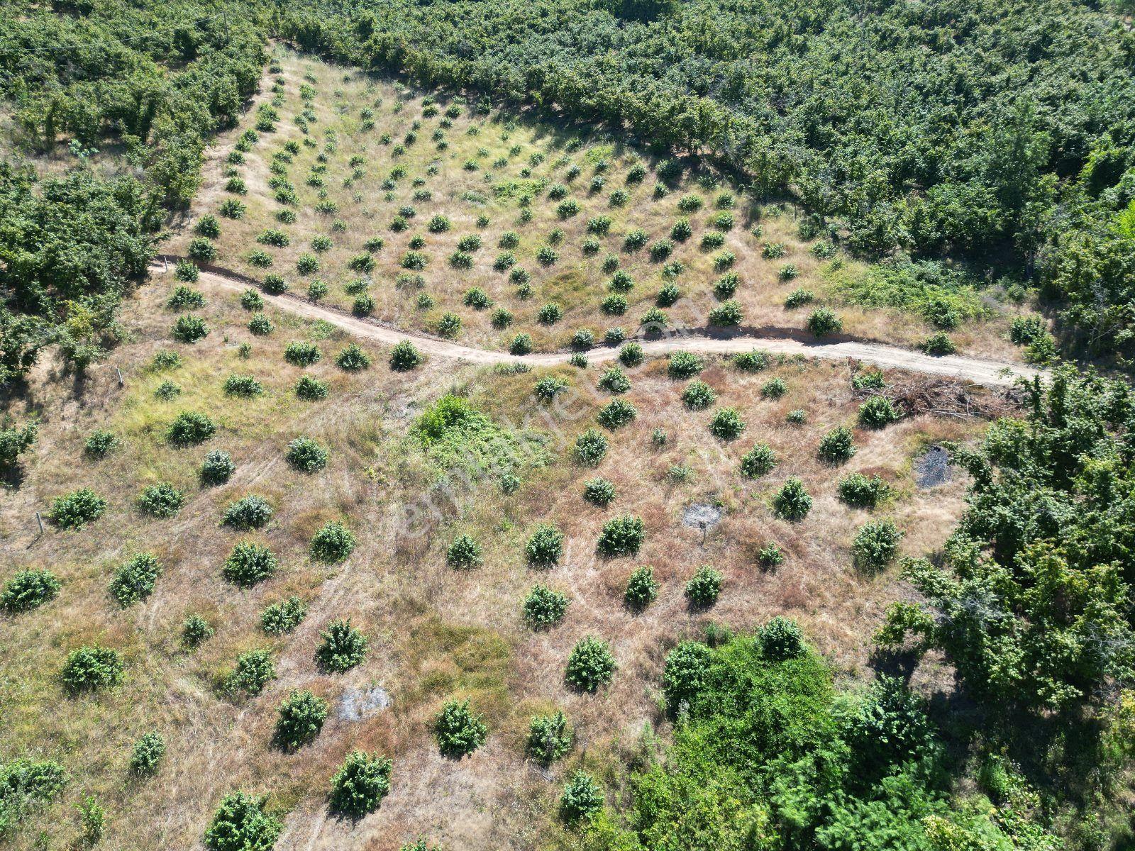 Akçakoca Hasançavuş'da Deniz Manzaralı İmarlı Satılık Arsa - Görsel 20