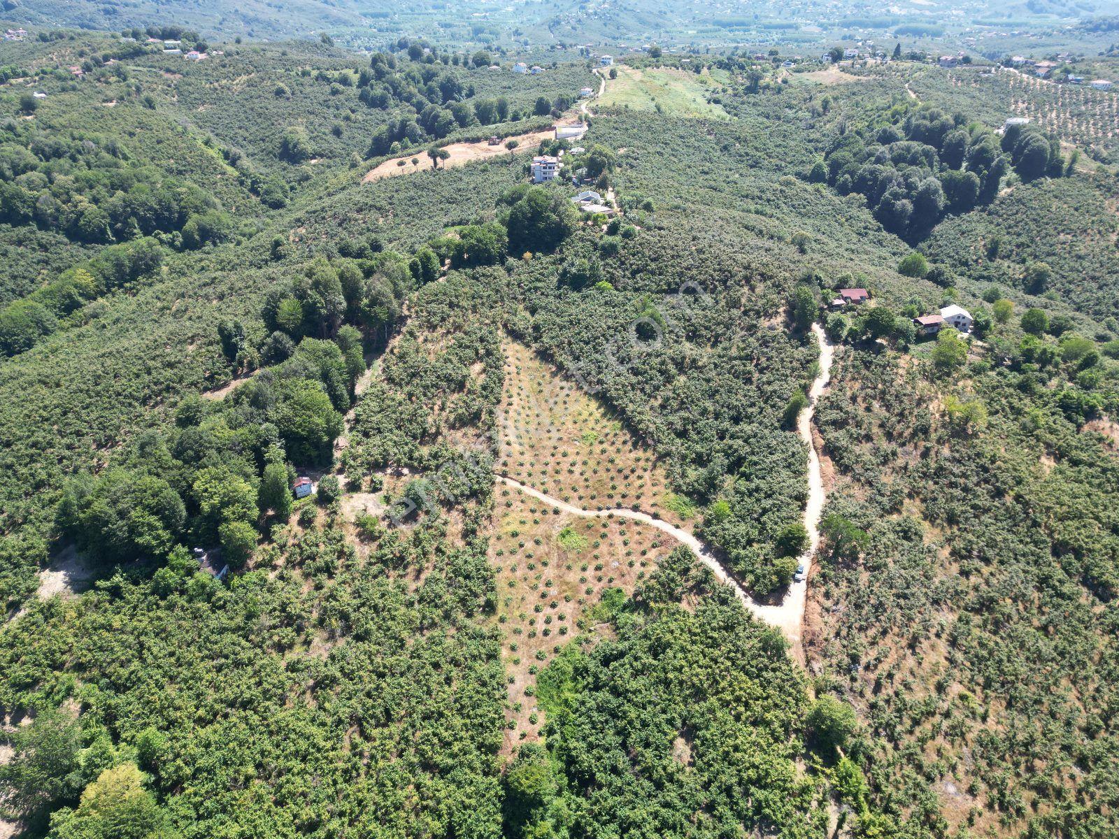 Akçakoca Hasançavuş'da Deniz Manzaralı İmarlı Satılık Arsa - Görsel 16