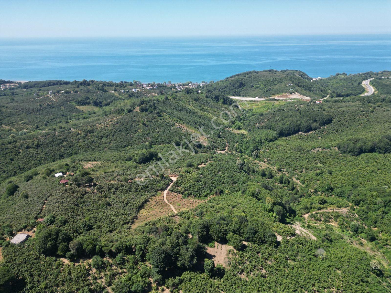 Akçakoca Hasançavuş'da Deniz Manzaralı İmarlı Satılık Arsa - Görsel 4