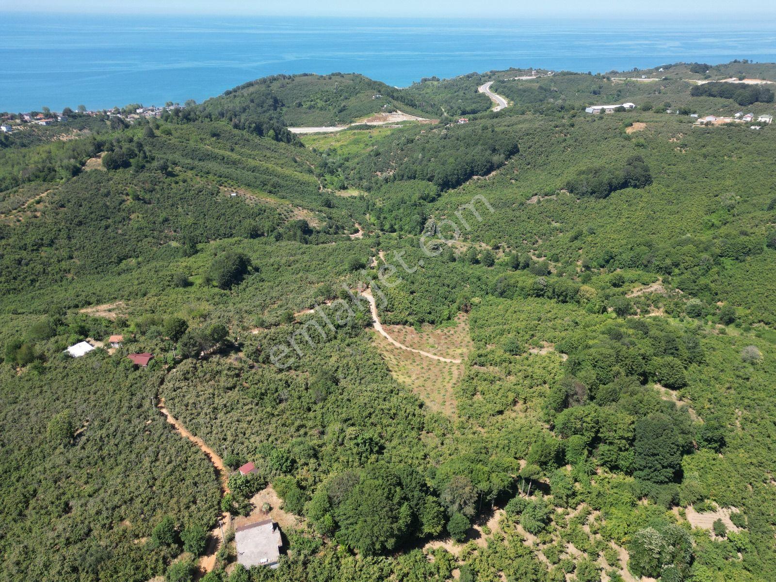 Akçakoca Hasançavuş'da Deniz Manzaralı İmarlı Satılık Arsa - Görsel 9