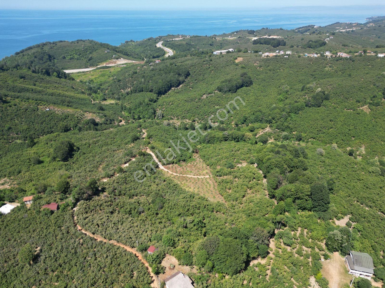 Akçakoca Hasançavuş'da Deniz Manzaralı İmarlı Satılık Arsa - Görsel 11