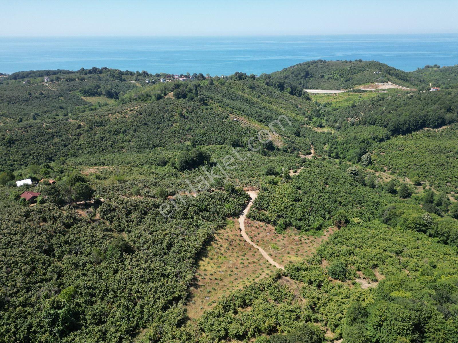 Akçakoca Hasançavuş'da Deniz Manzaralı İmarlı Satılık Arsa - Görsel 12
