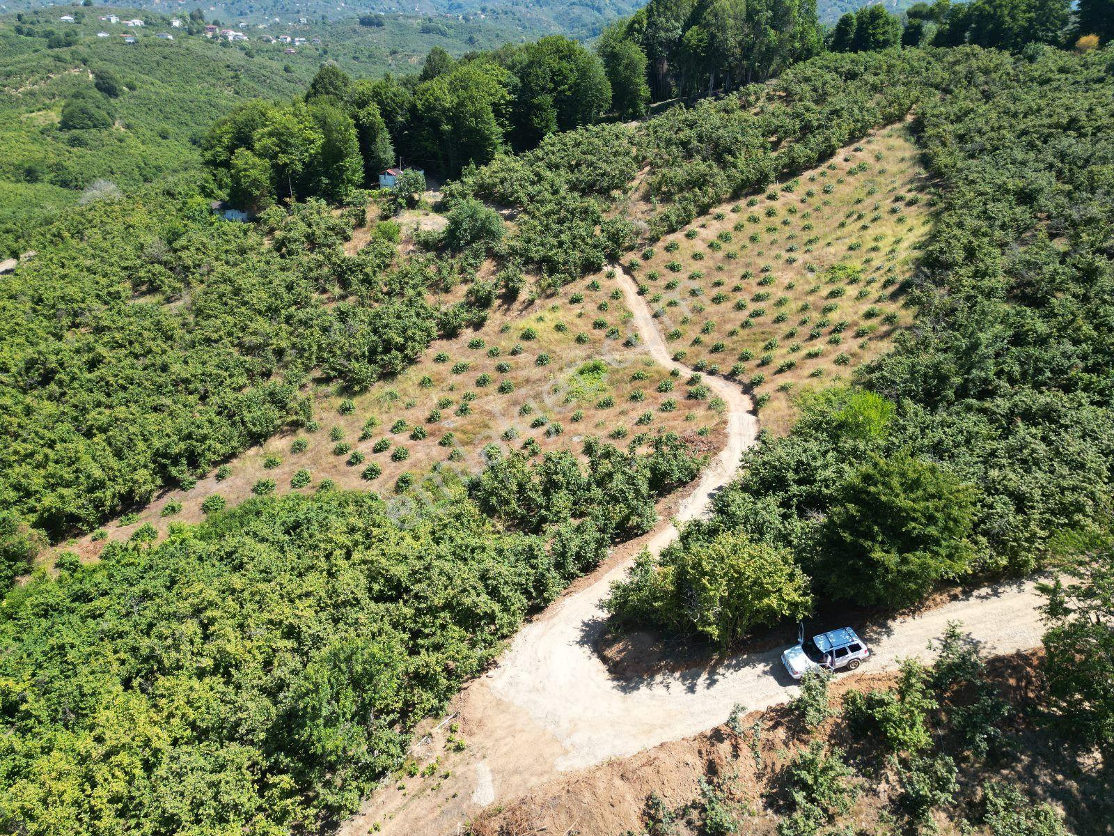 Akçakoca Hasançavuş'da Deniz Manzaralı İmarlı Satılık Arsa - Görsel 25