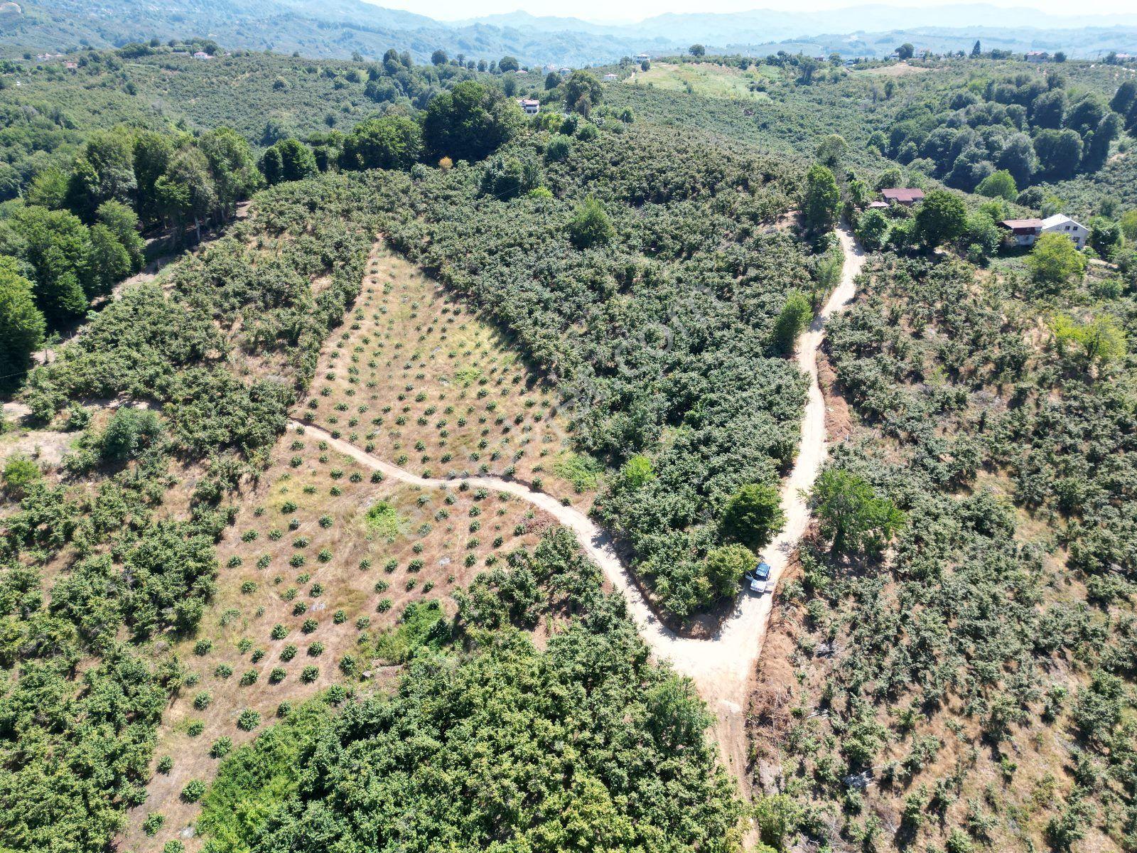Akçakoca Hasançavuş'da Deniz Manzaralı İmarlı Satılık Arsa - Görsel 26